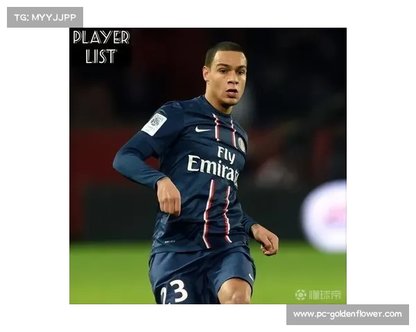 前荷兰国脚范德维尔坦言足球生涯如监狱抑郁无人知